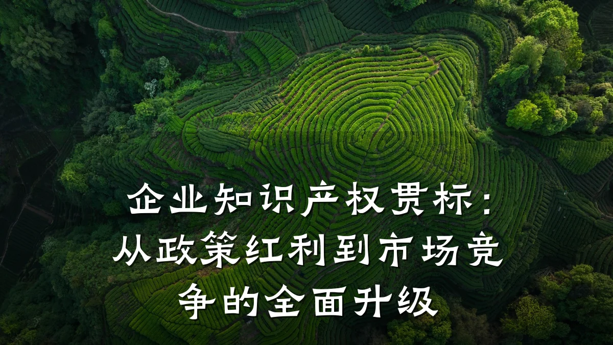 企业知识产权贯标:从政策红利到市场竞争的全面升级