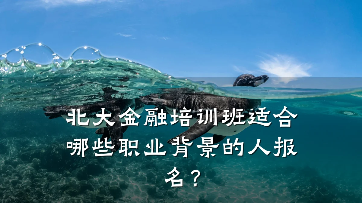 北大金融培训班适合哪些职业背景的人报名？