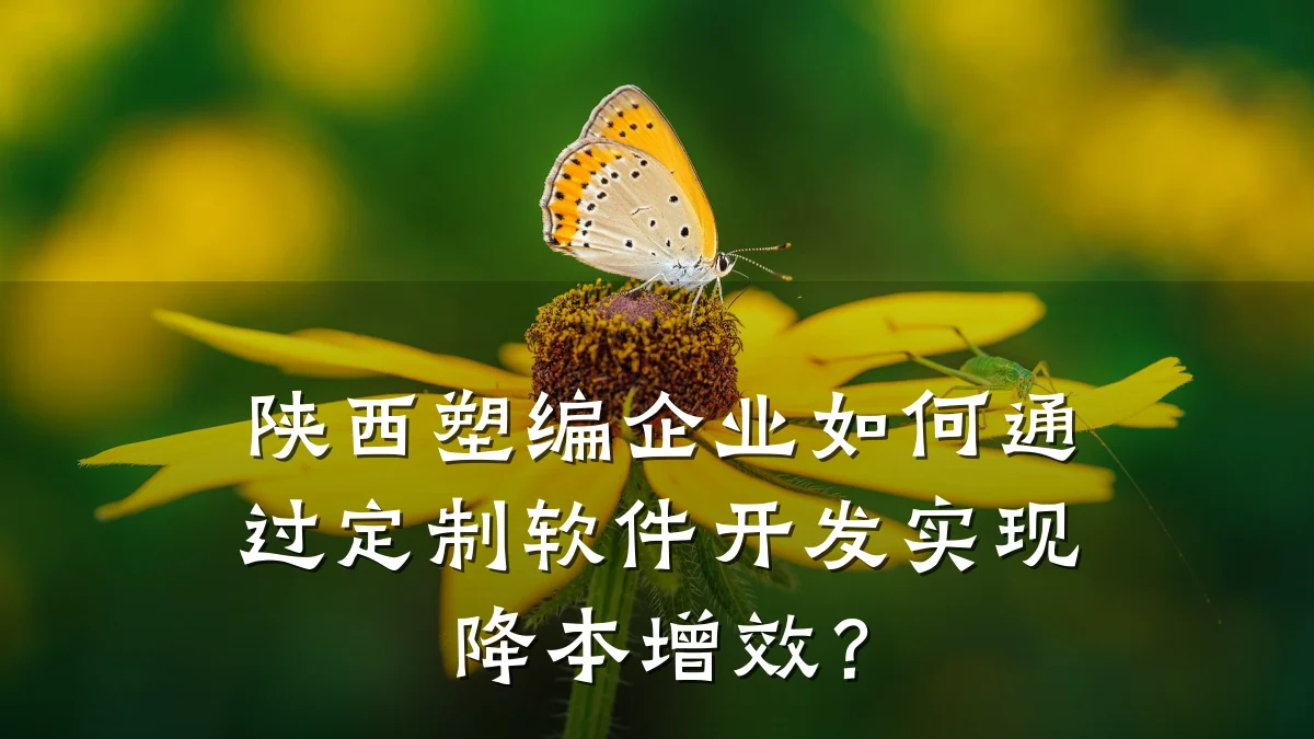 陕西塑编企业如何通过定制软件开发实现降本增效?