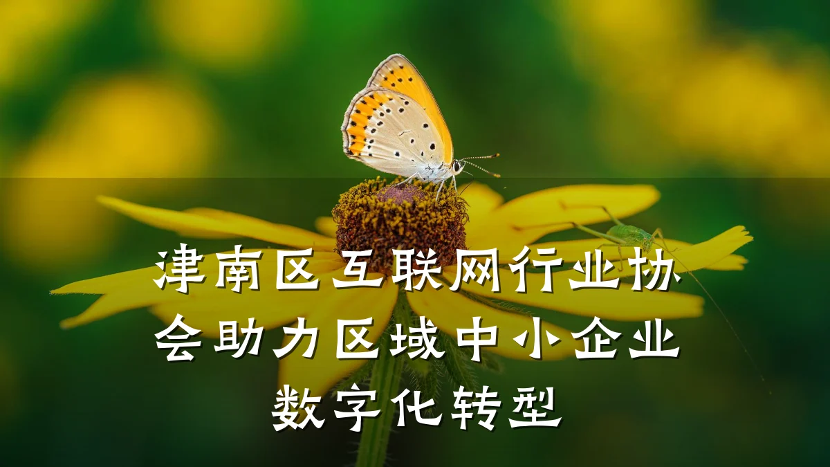 津南区互联网行业协会助力区域中小企业数字化转型