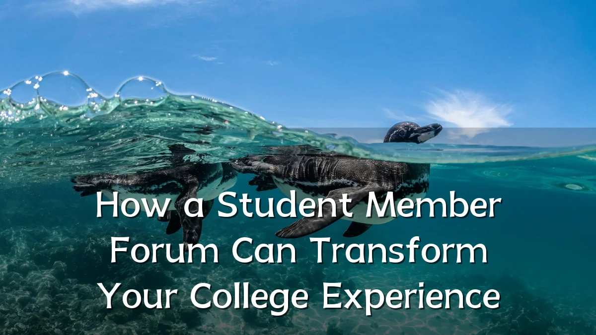 How a Student Member Forum Can Transform Your College Experience