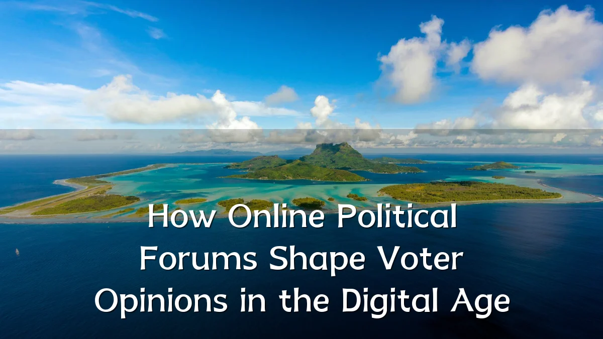 How Online Political Forums Shape Voter Opinions in the Digital Age