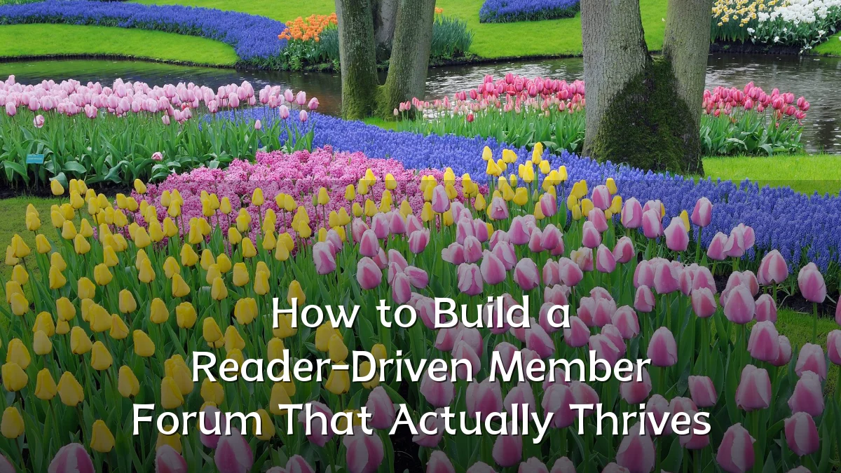 How to Build a Reader-Driven Member Forum That Actually Thrives