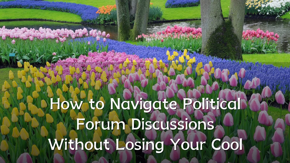 How to Navigate Political Forum Discussions Without Losing Your Cool