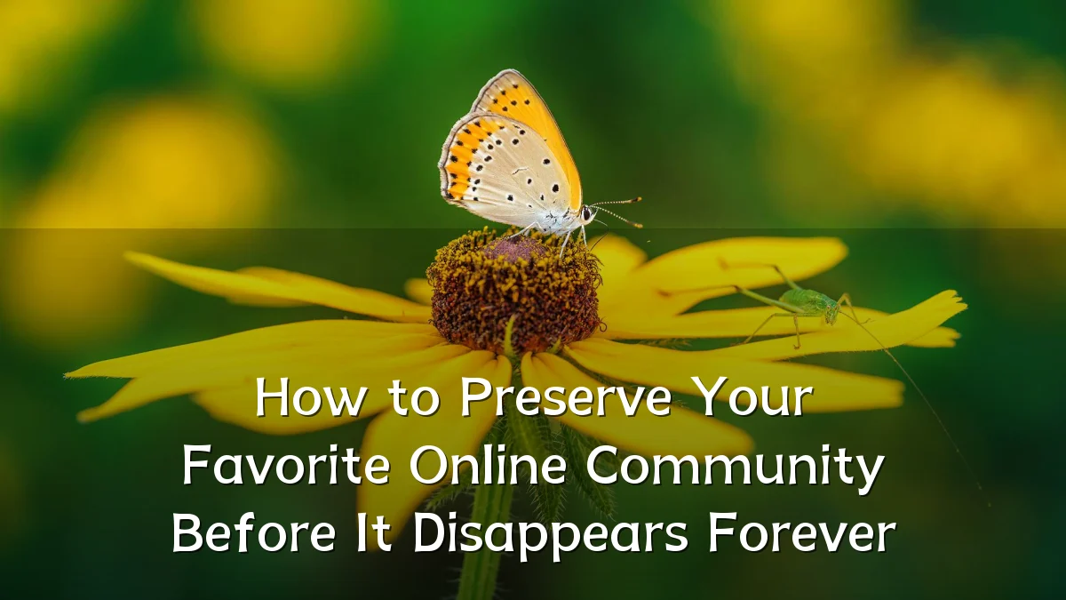 How to Preserve Your Favorite Online Community Before It Disappears Forever