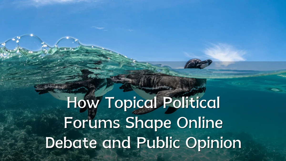 How Topical Political Forums Shape Online Debate and Public Opinion