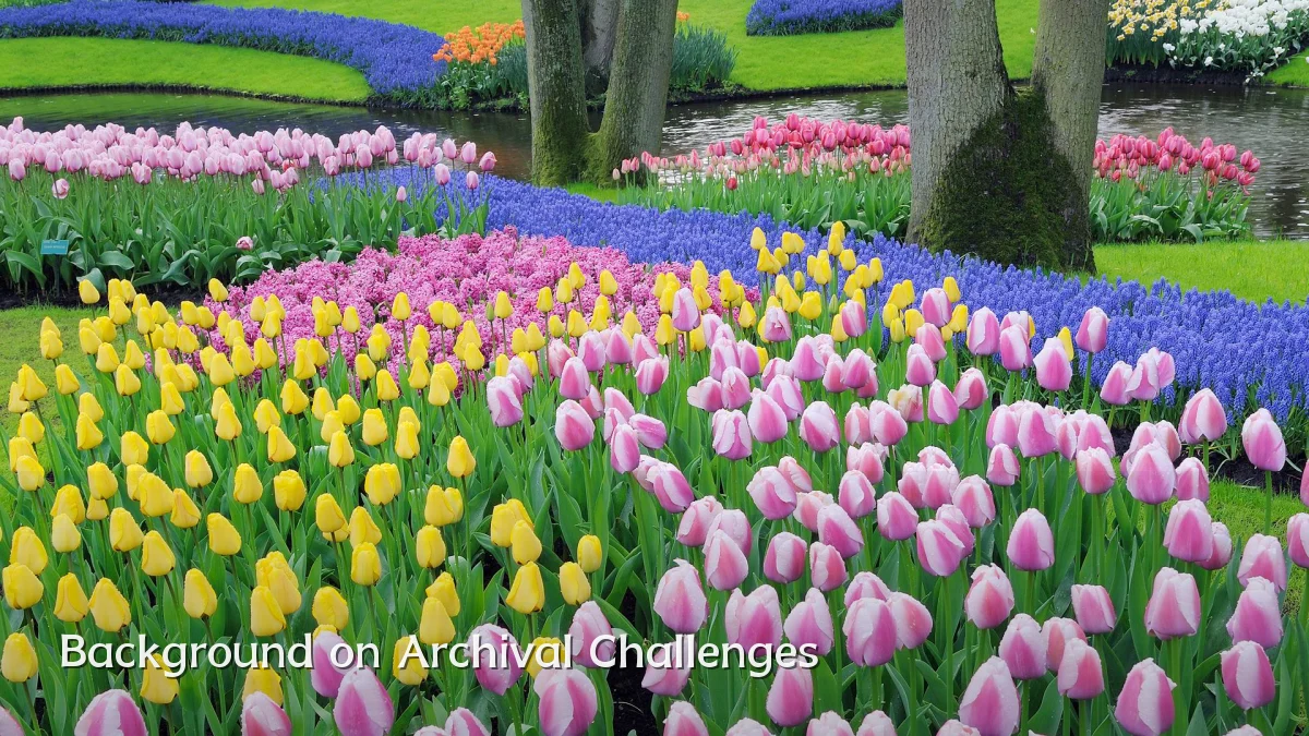 Background on Archival Challenges