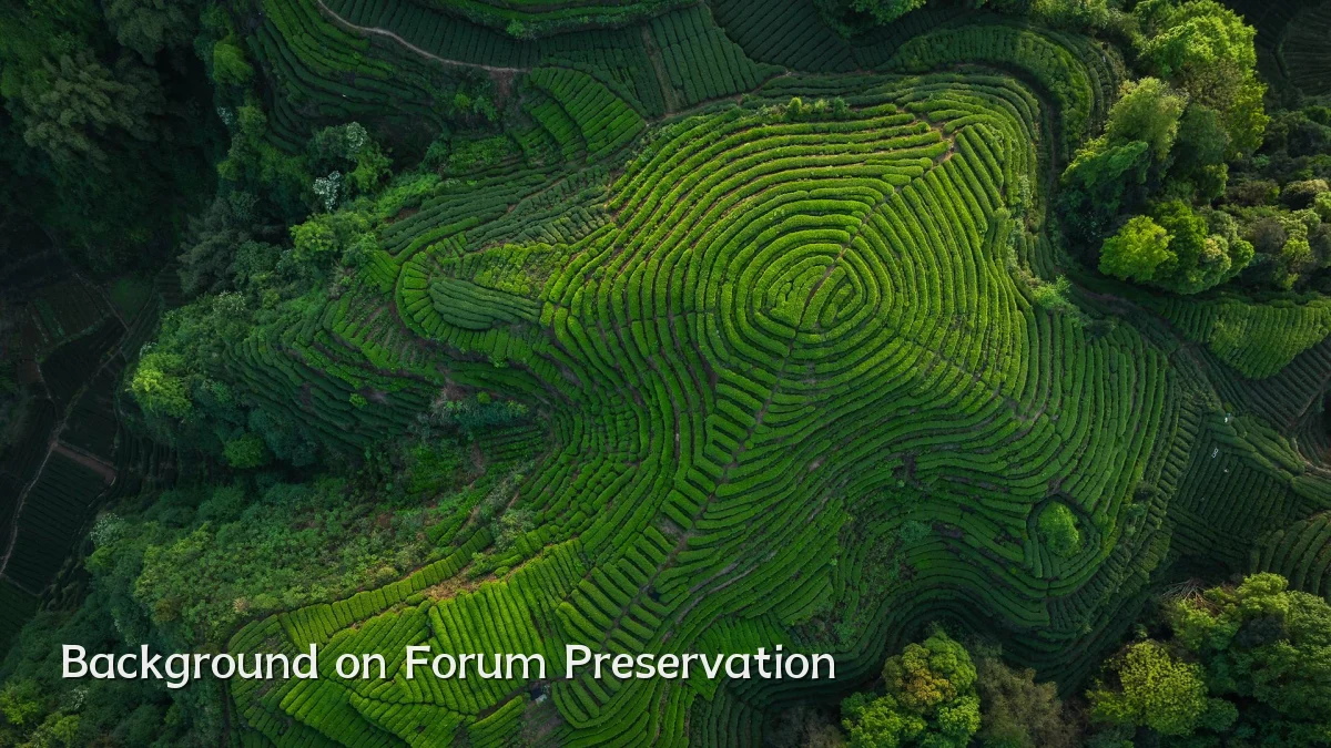Background on Forum Preservation