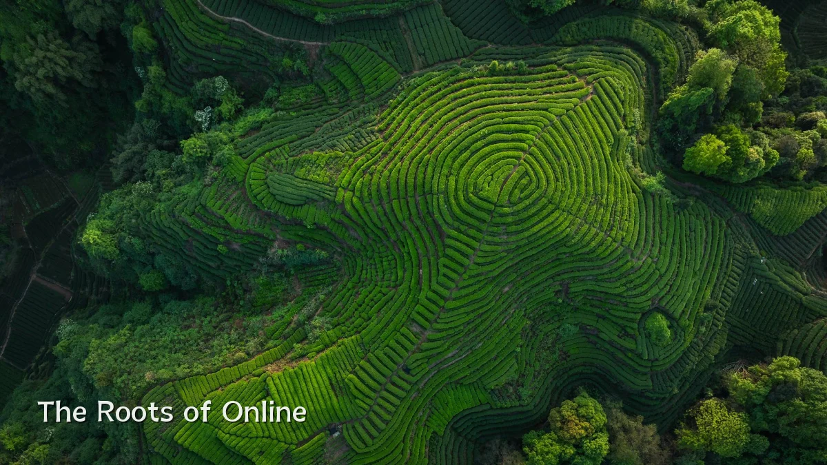 The Roots of Online