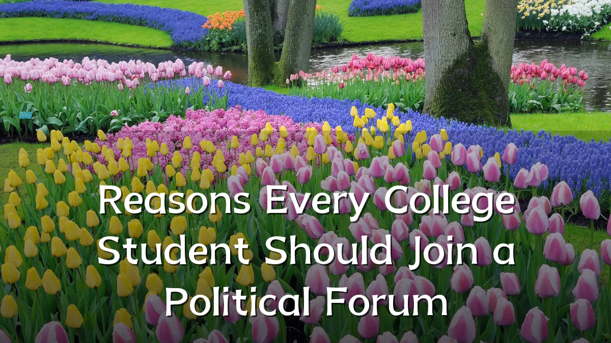 Reasons Every College Student Should Join a Political Forum