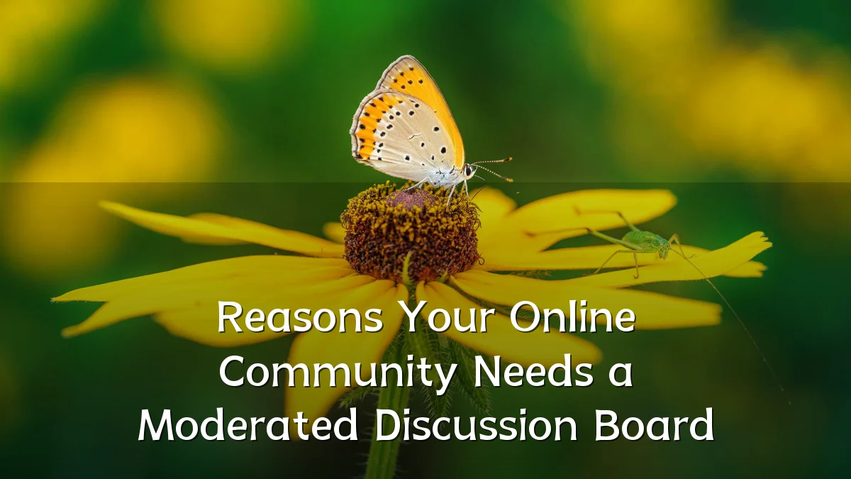 Reasons Your Online Community Needs a Moderated Discussion Board