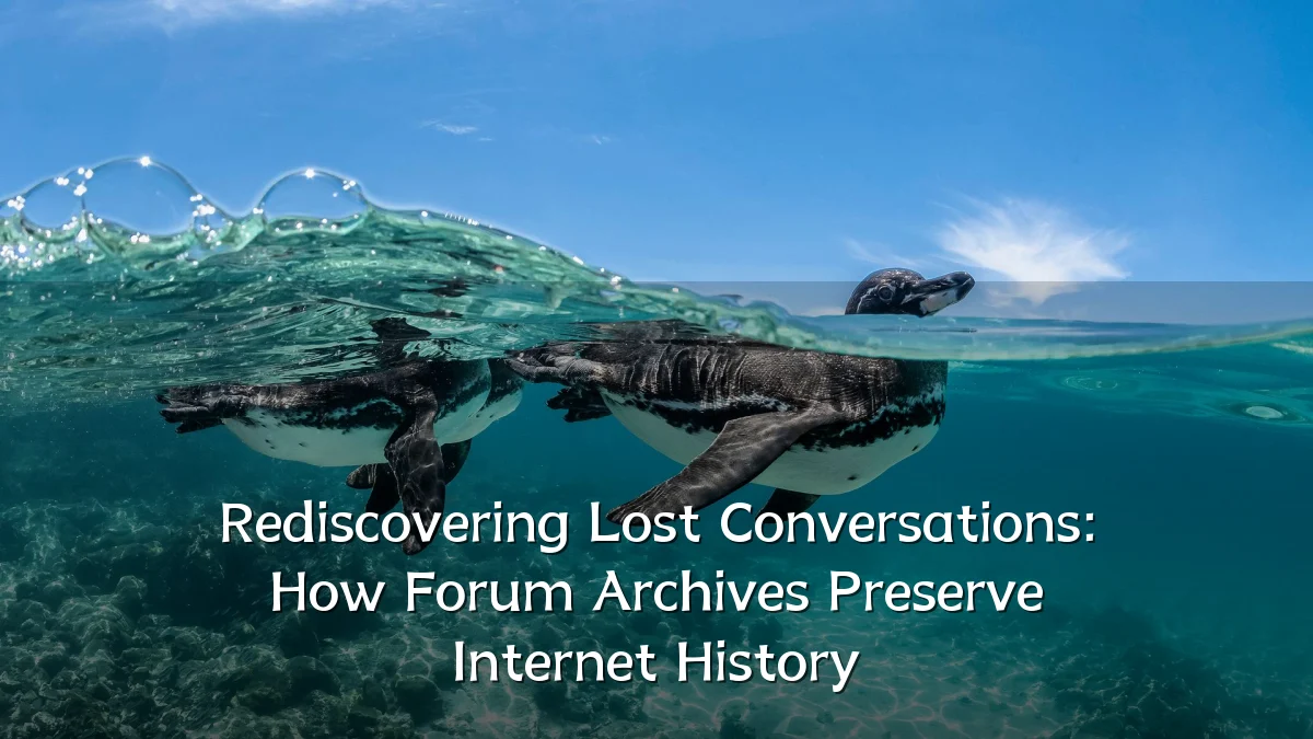 Rediscovering Lost Conversations: How Forum Archives Preserve Internet History
