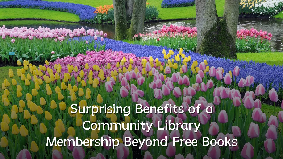 Surprising Benefits of a Community Library Membership Beyond Free Books