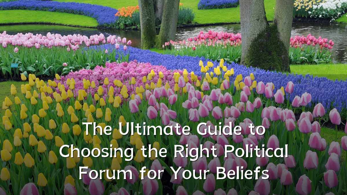 The Ultimate Guide to Choosing the Right Political Forum for Your Beliefs