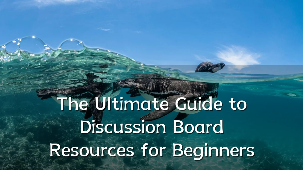 The Ultimate Guide to Discussion Board Resources for Beginners
