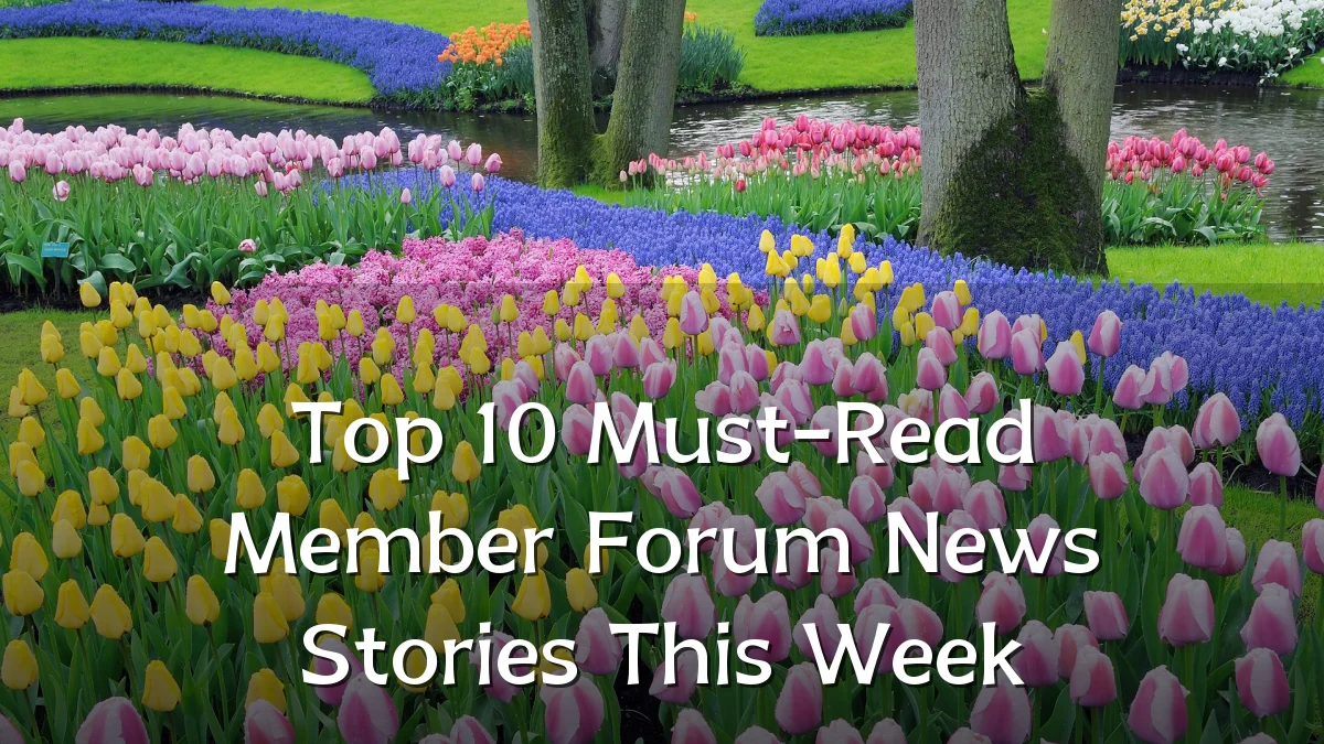 Top 10 Must-Read Member Forum News Stories This Week