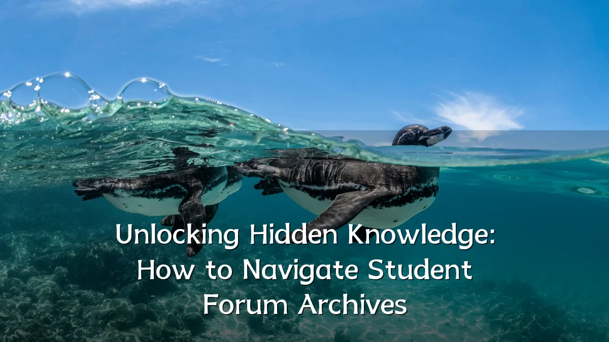 Unlocking Hidden Knowledge: How to Navigate Student Forum Archives