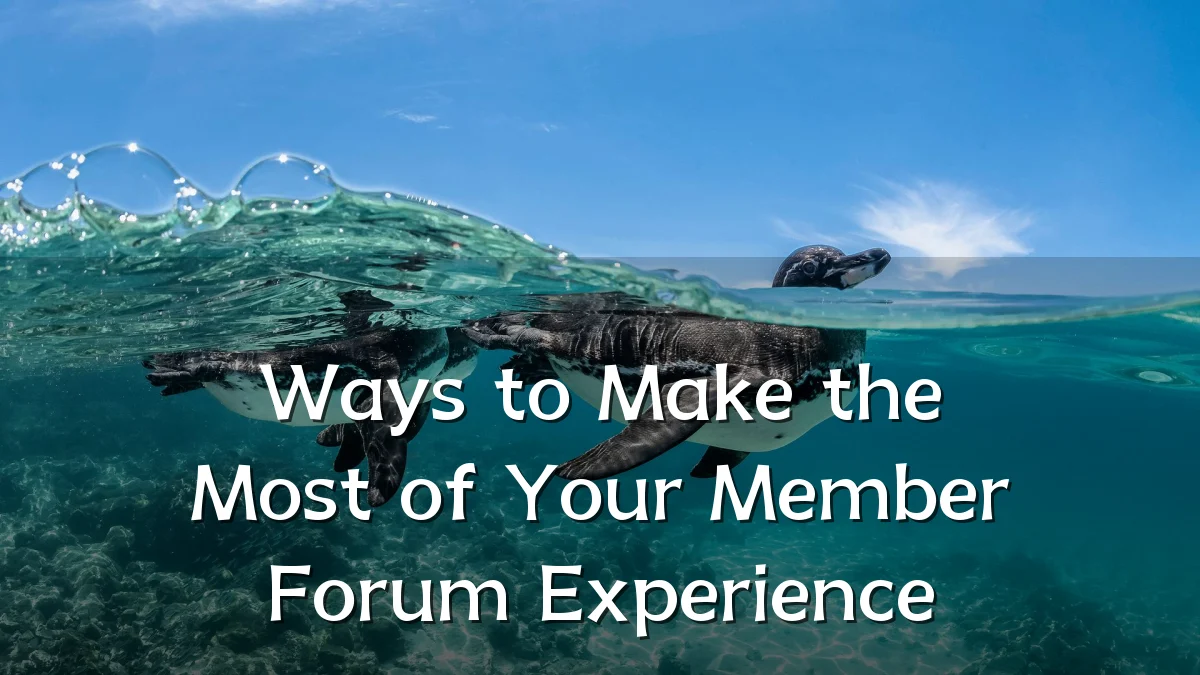 Ways to Make the Most of Your Member Forum Experience