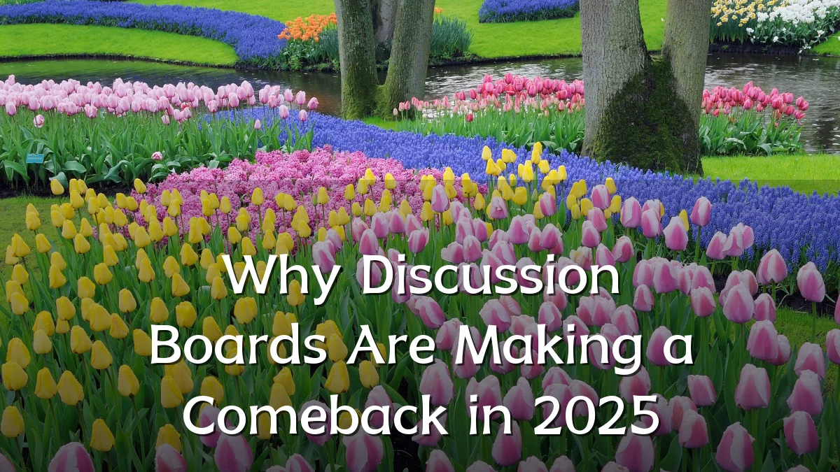 Why Discussion Boards Are Making a Comeback in 2025