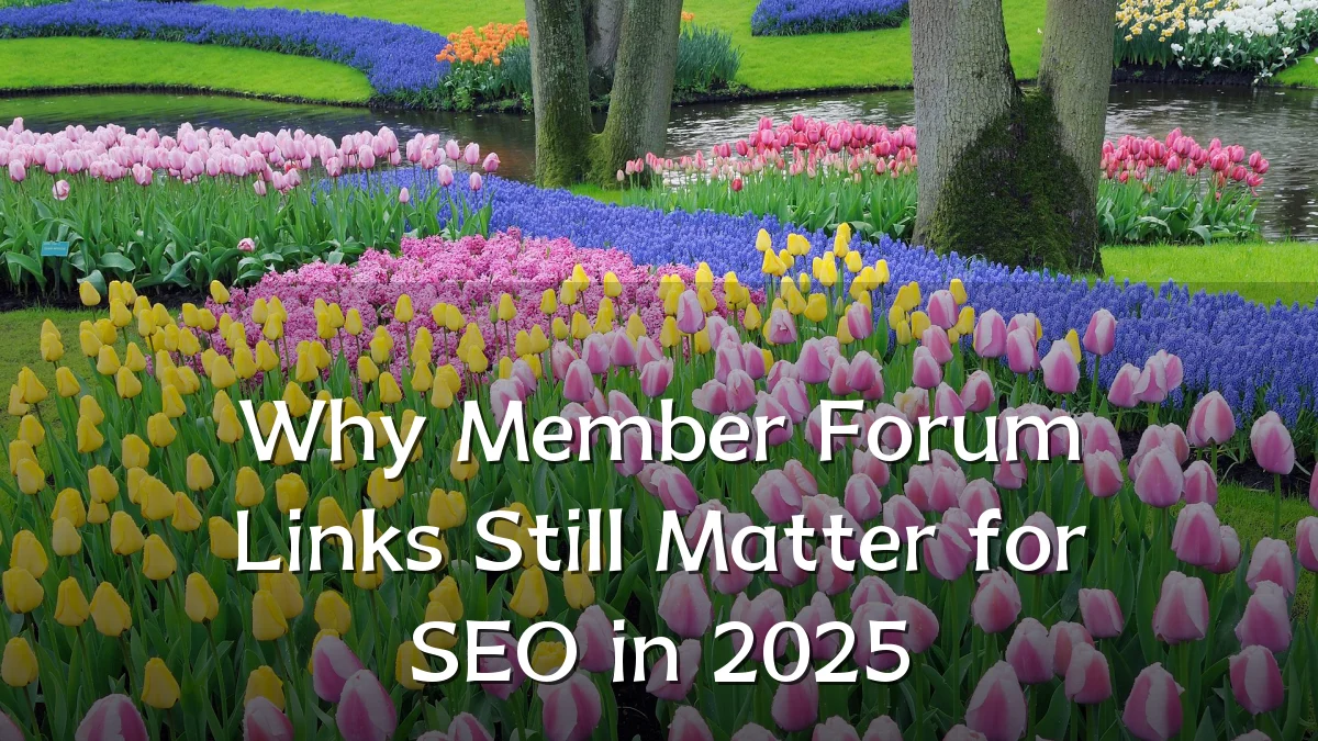 Why Member Forum Links Still Matter for SEO in 2025