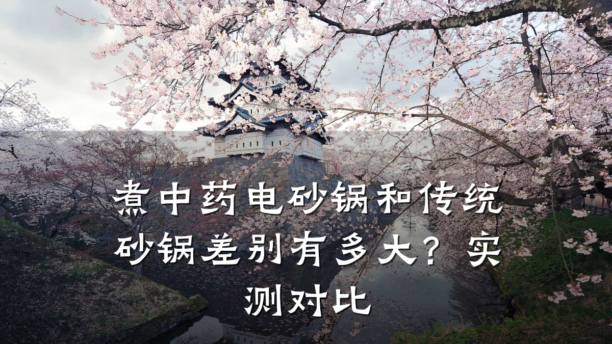 煮中药电砂锅和传统砂锅差别有多大？实测对比
