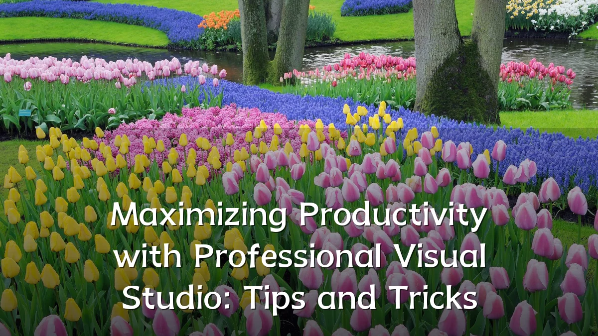 Maximizing Productivity with Professional Visual Studio: Tips and Tricks