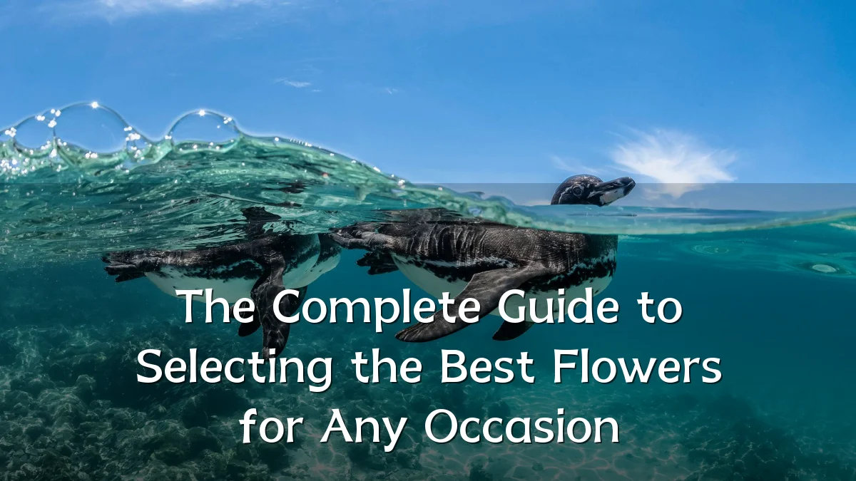 The Complete Guide to Selecting the Best Flowers for Any Occasion