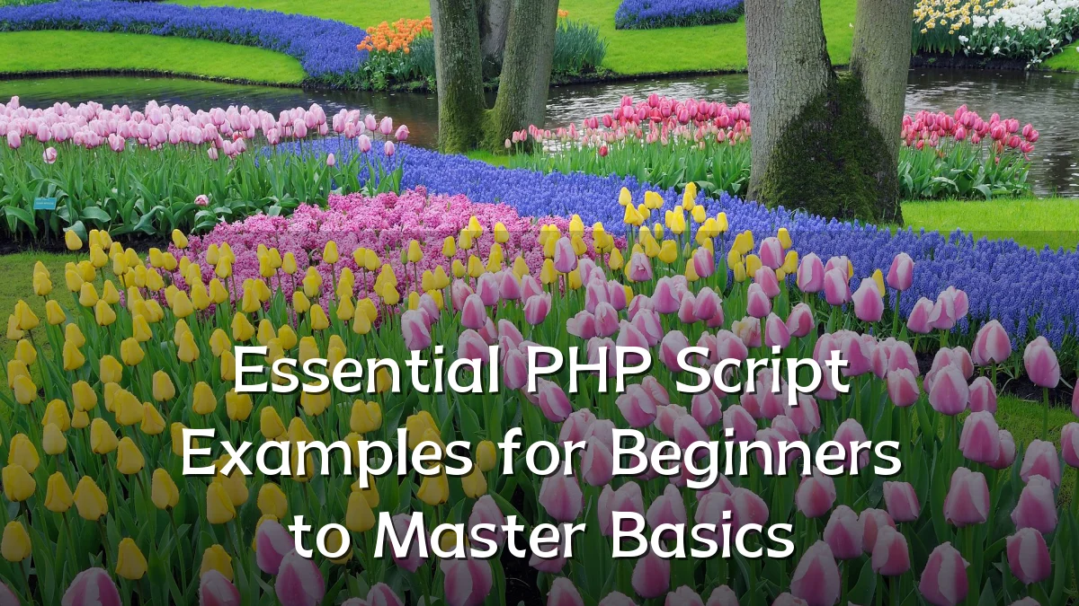 Essential PHP Script Examples for Beginners to Master Basics