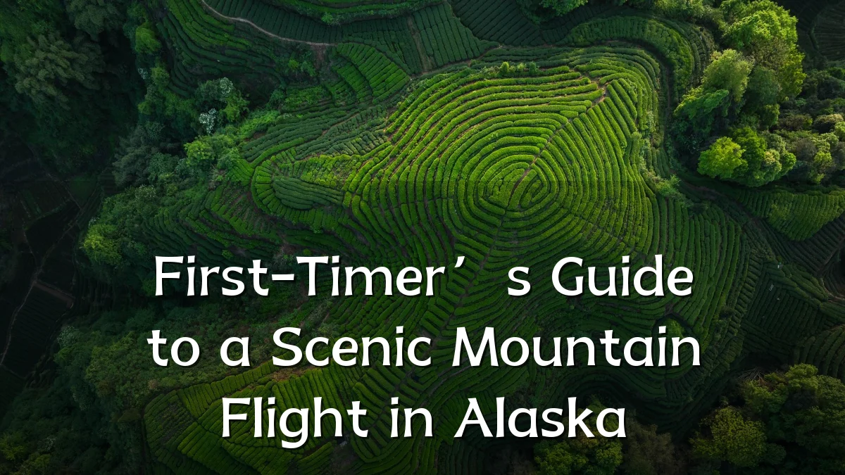 First-Timer’s Guide to a Scenic Mountain Flight in Alaska