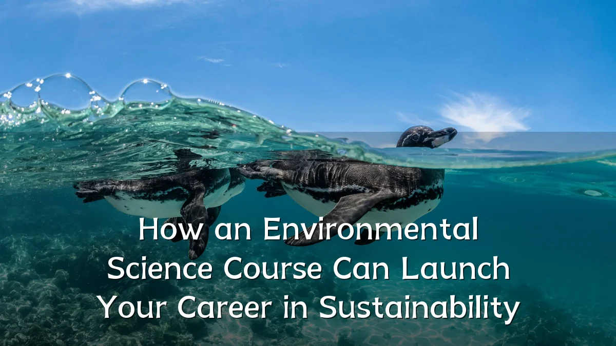 How an Environmental Science Course Can Launch Your Career in Sustainability