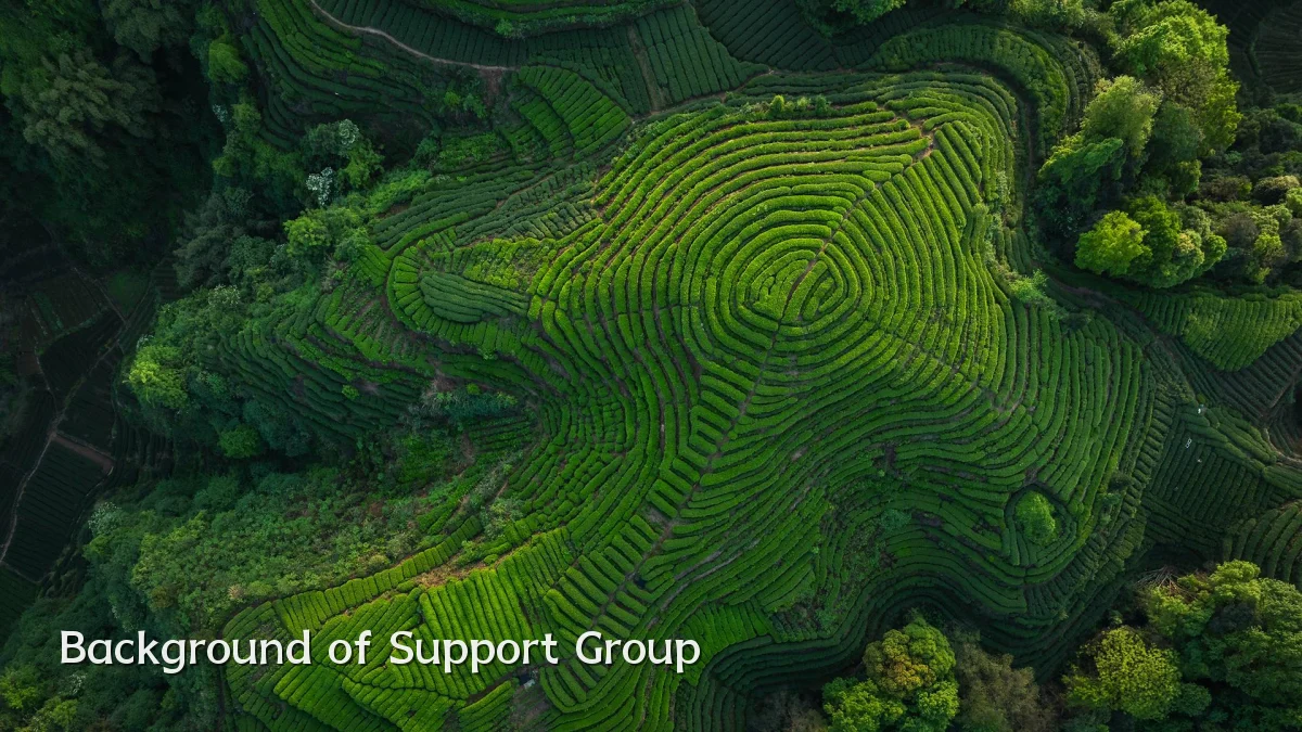 Background of Support Group