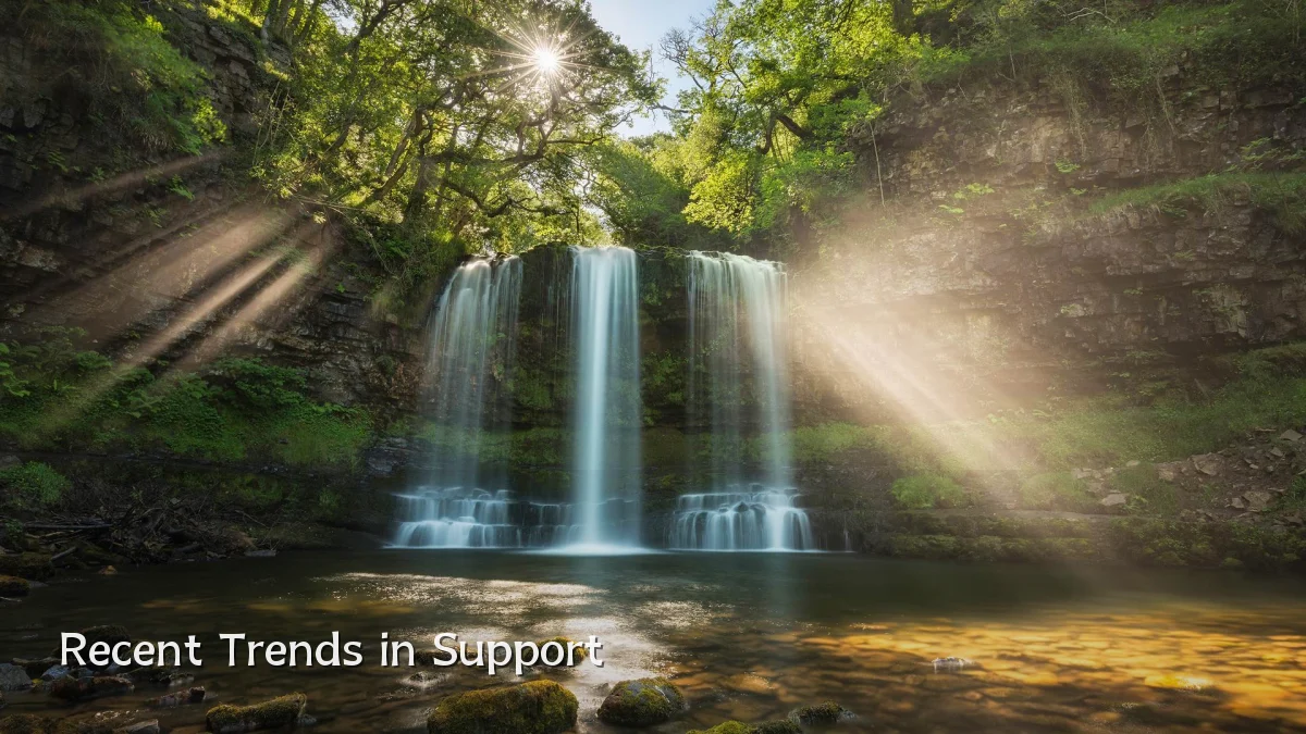 Recent Trends in Support