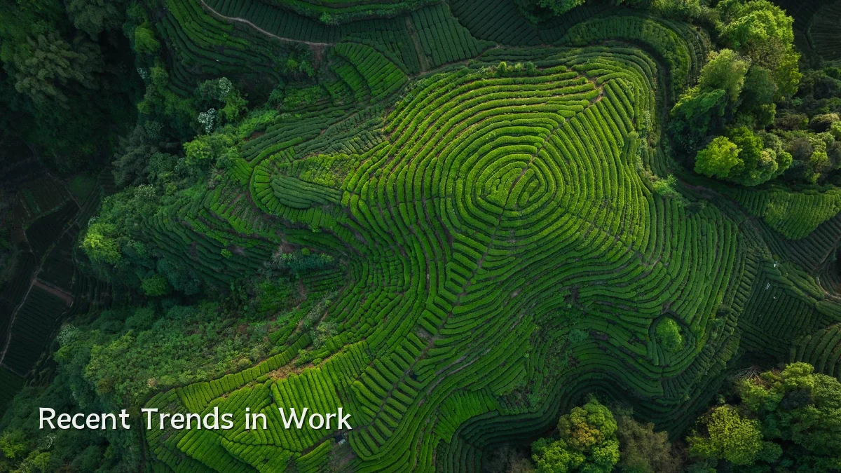 Recent Trends in Work