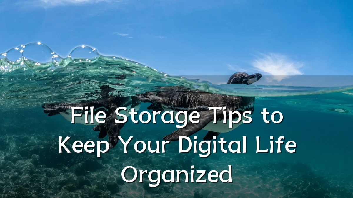 File Storage Tips to Keep Your Digital Life Organized