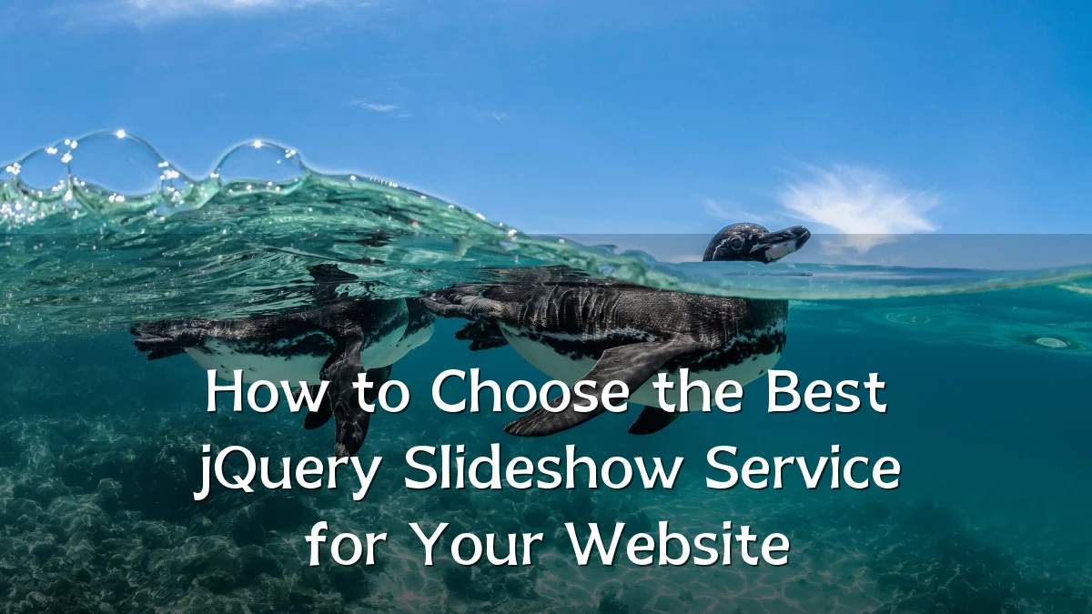 How to Choose the Best jQuery Slideshow Service for Your Website