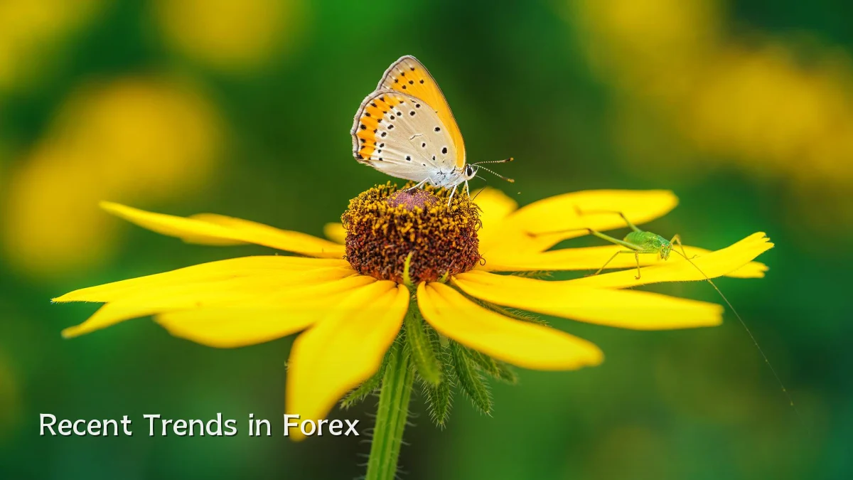 Recent Trends in Forex