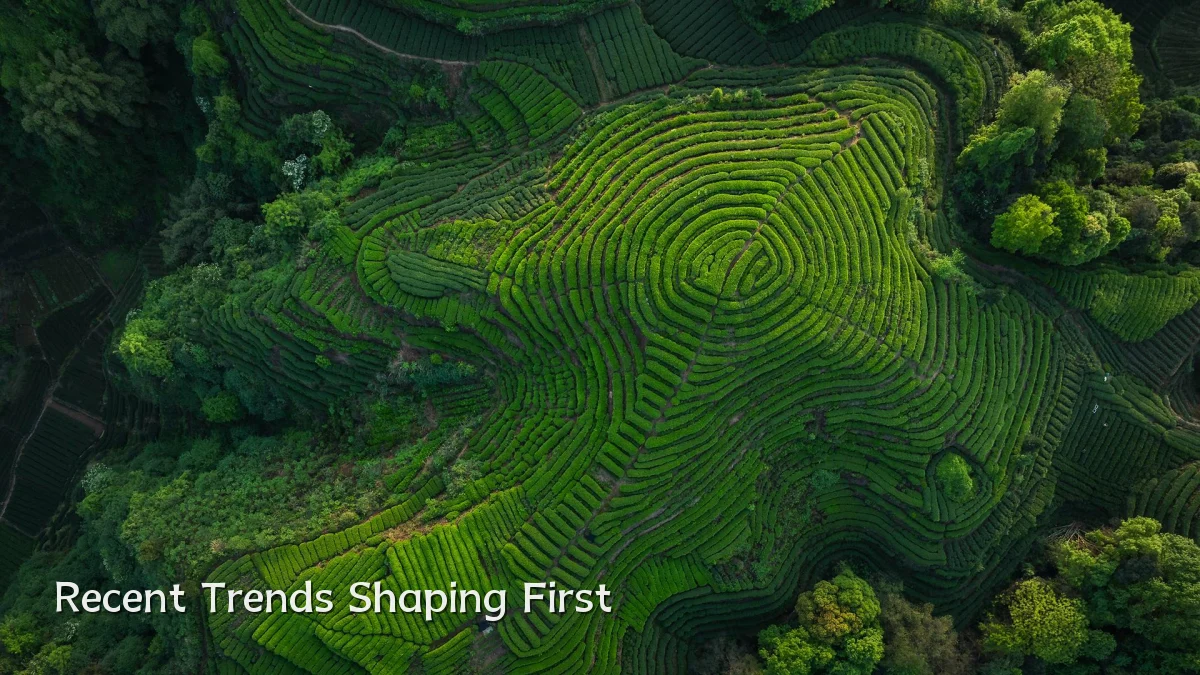 Recent Trends Shaping First