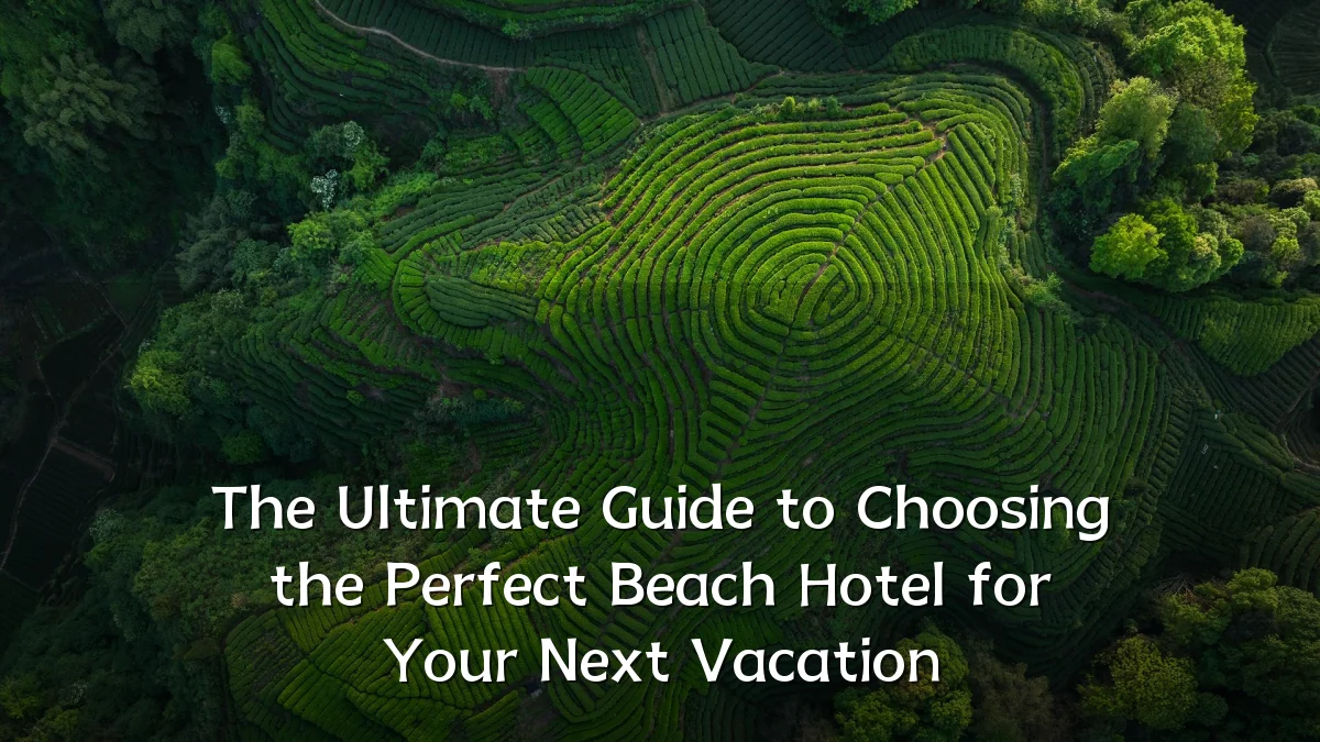 The Ultimate Guide to Choosing the Perfect Beach Hotel for Your Next Vacation