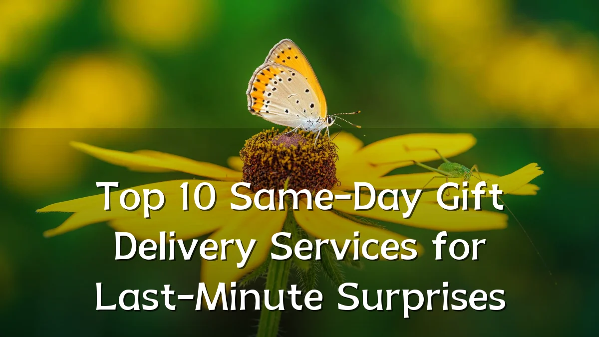 Top 10 Same-Day Gift Delivery Services for Last-Minute Surprises