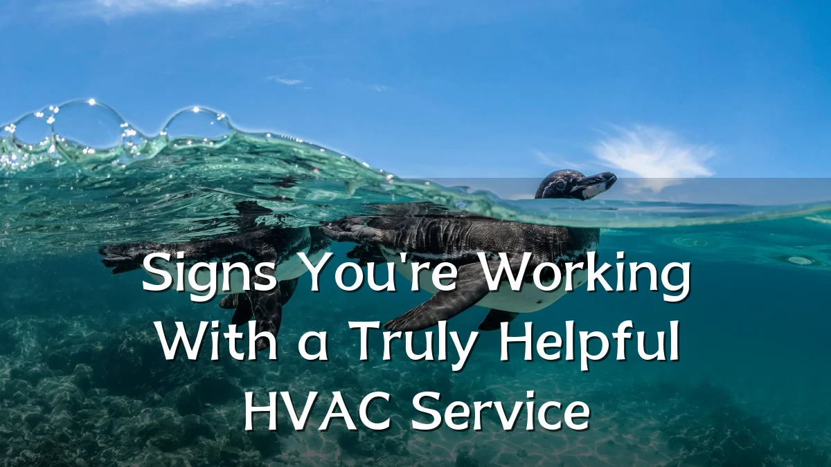 Signs You're Working With a Truly Helpful HVAC Service