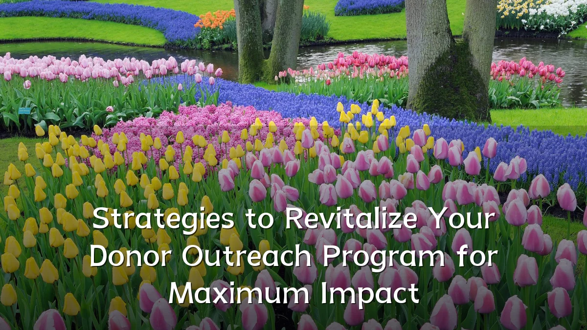 Strategies to Revitalize Your Donor Outreach Program for Maximum Impact