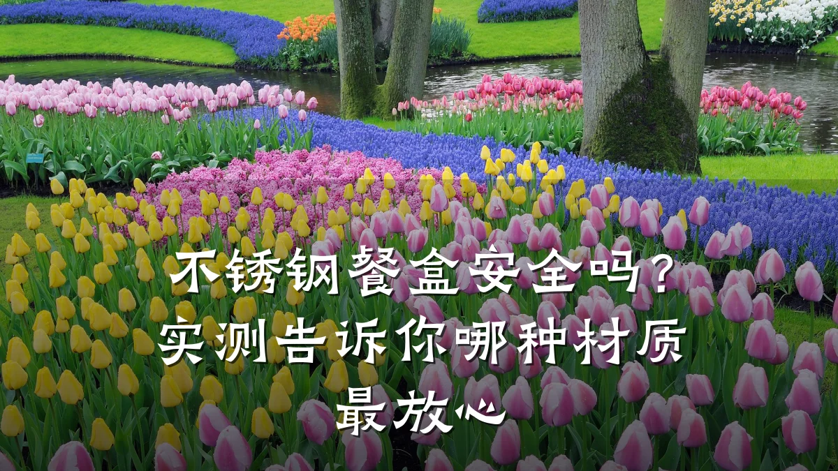 不锈钢餐盒安全吗？实测告诉你哪种材质最放心