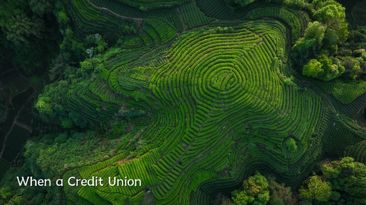 When a Credit Union