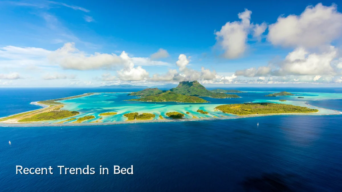 Recent Trends in Bed